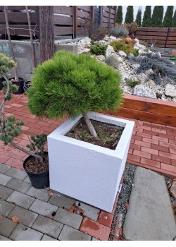 Kvetináč zateplený 50x50x50