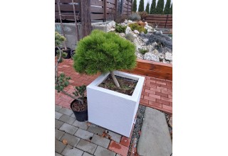 Kvetináč zateplený 50x50x50