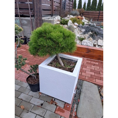 Kvetináč zateplený 50x50x50